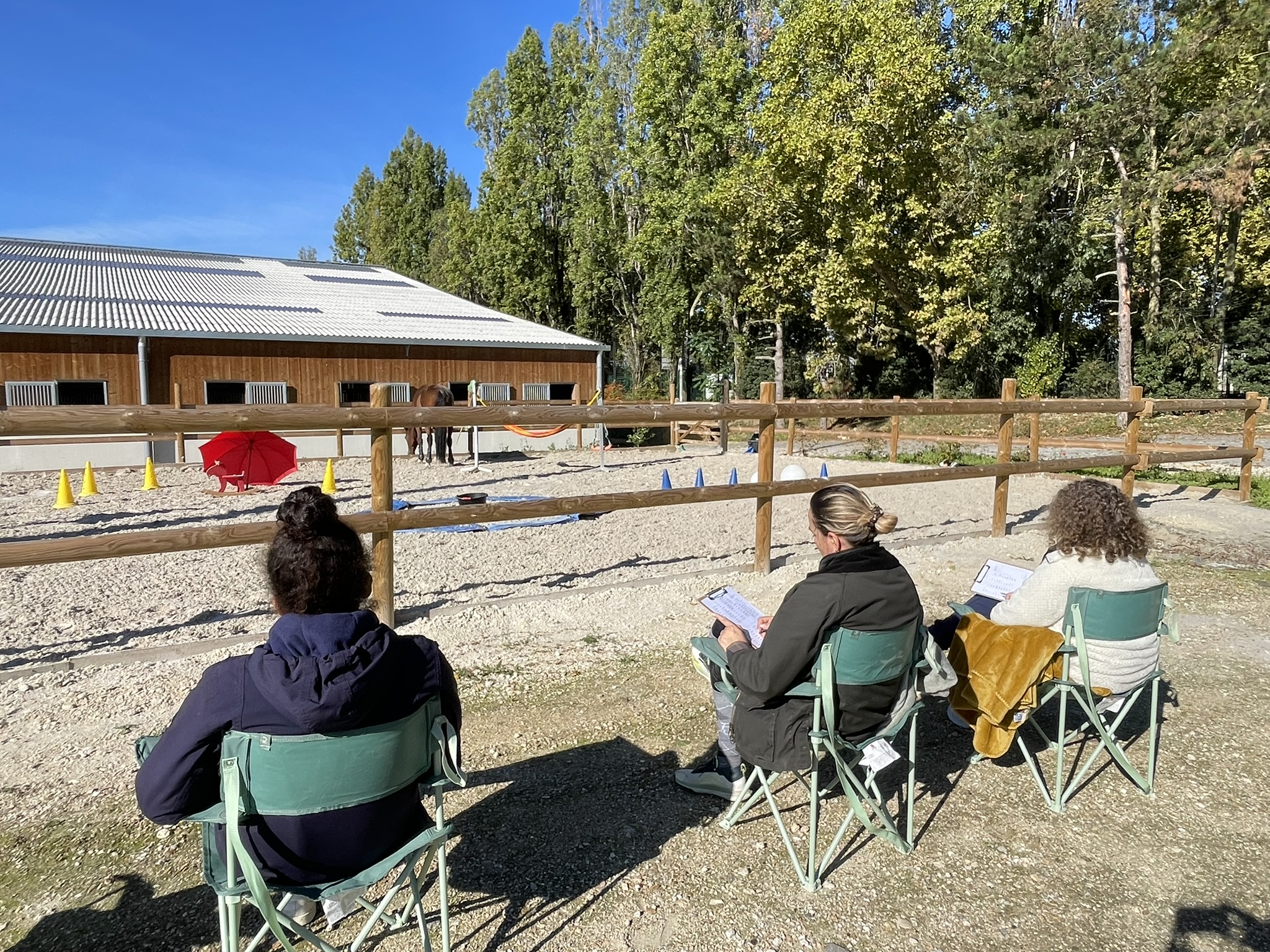 Atelier perfectionnement équicoaching